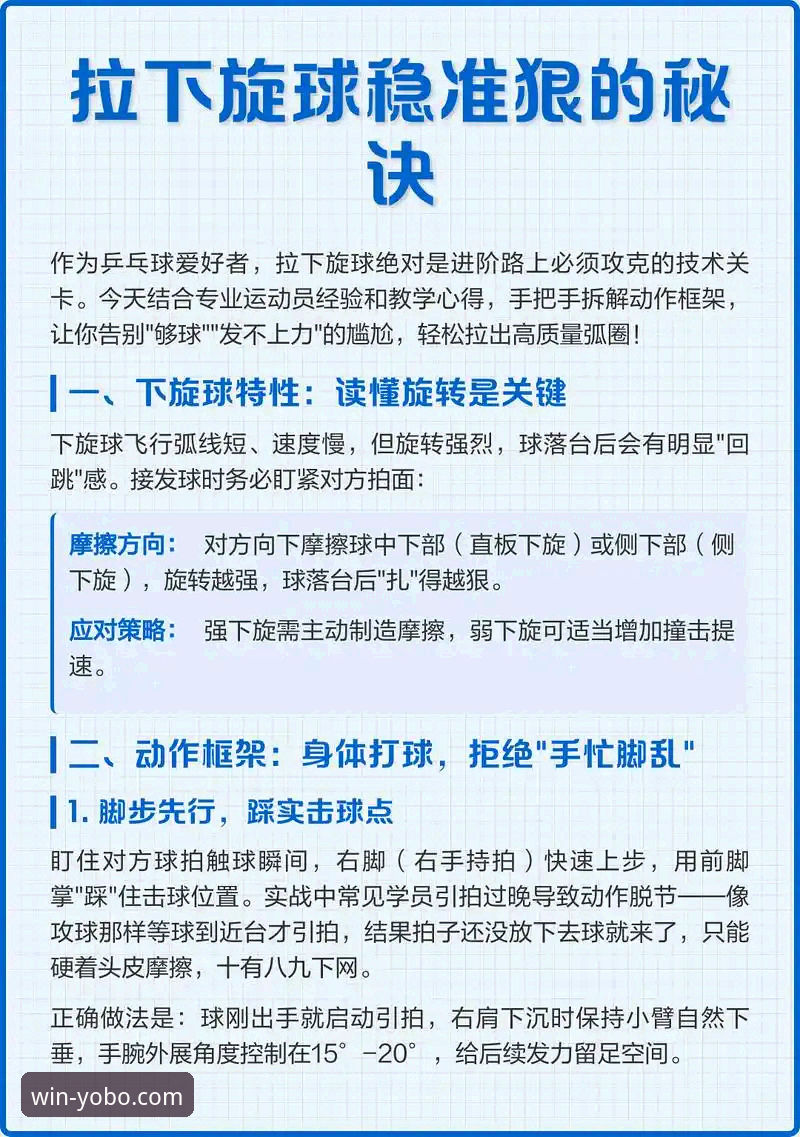 yobo体育平台使用指南：从下载到深度体验的完整解析